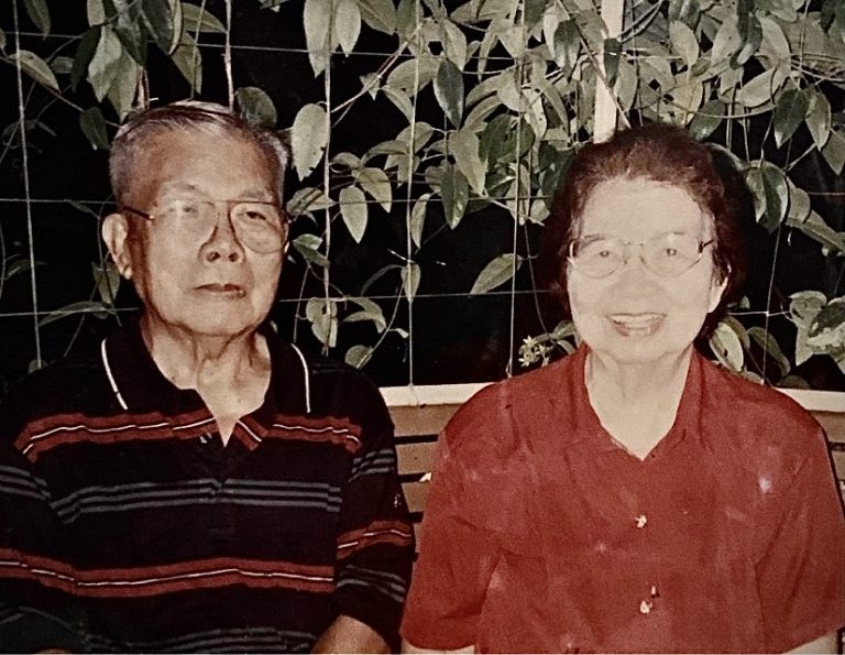 Dolores Castro Solis