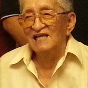 Jose L Villena