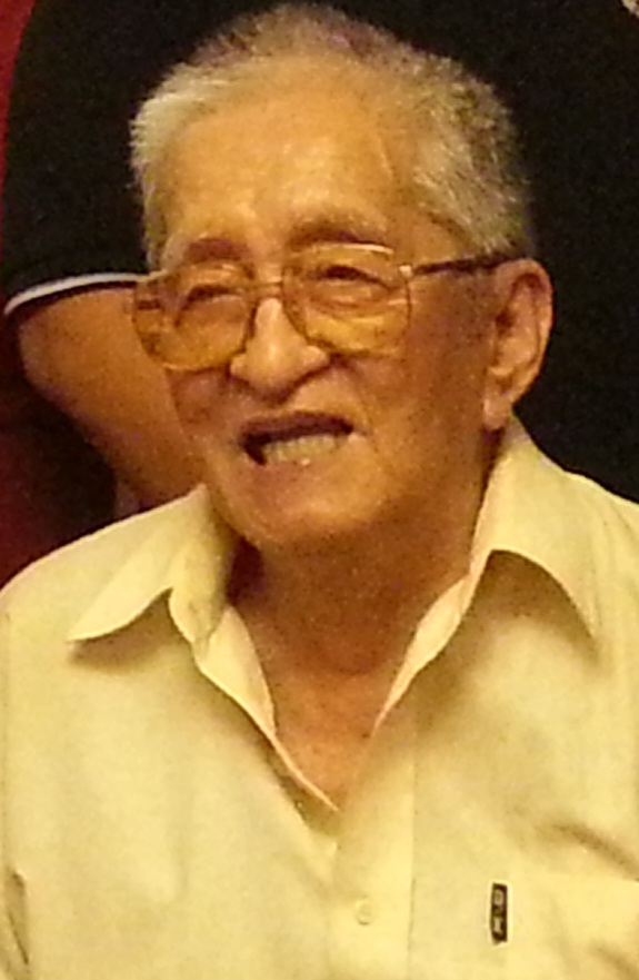 Jose L Villena