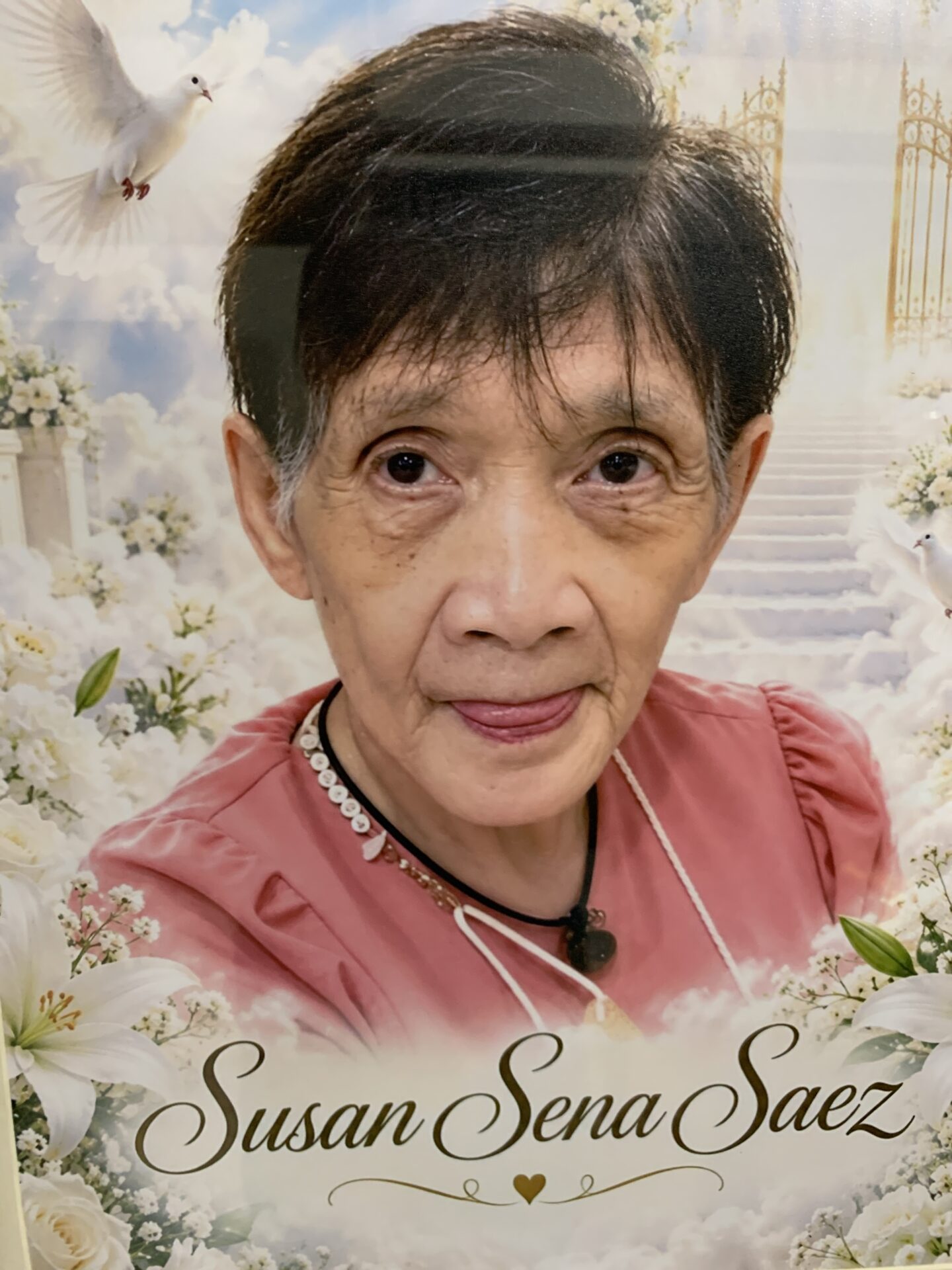 SUSAN SAEZ 1 c3d8607d ded5 4204 b102 b9e965634b40